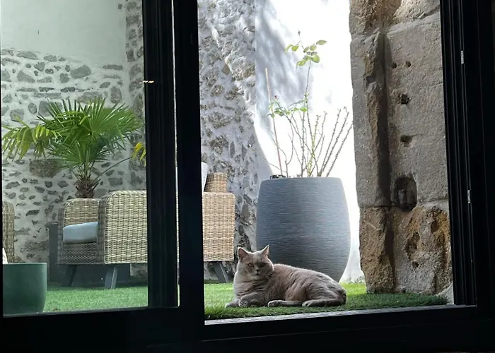 Sci Les Remparts De Mirepoix Mirepoix (Ariege)