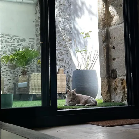 Sci Les Remparts De Mirepoix Mirepoix (Ariege)