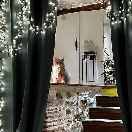 Sci Les Remparts De Mirepoix