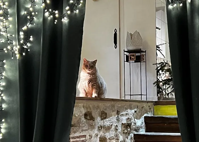 Sci Les Remparts De Mirepoix